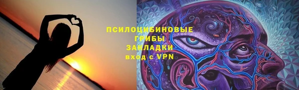 spice Краснослободск