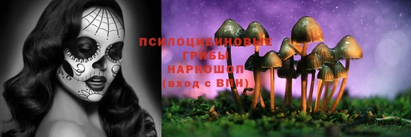 spice Краснослободск