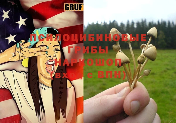 spice Краснослободск